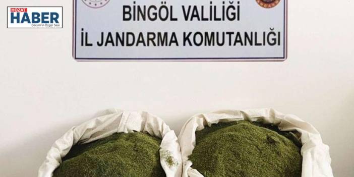 "Bingöl'de Jandarma Operasyonu: 570 Kök Kenevir ve 12 Kilogram Esrar Ele Geçirildi"