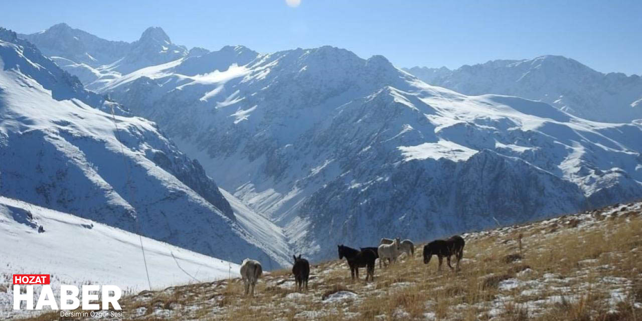 tunceli-ve-erzincanda-kar-yagisi-etkili-olduuuu.jpg